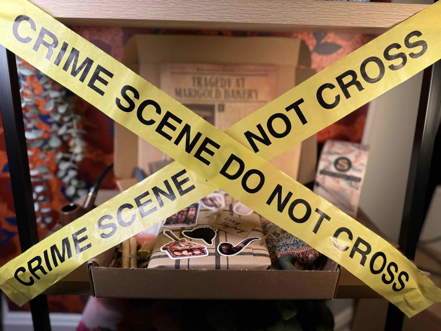 Cozy Mystery Blind Date With a Book Box 🕵️‍♀️