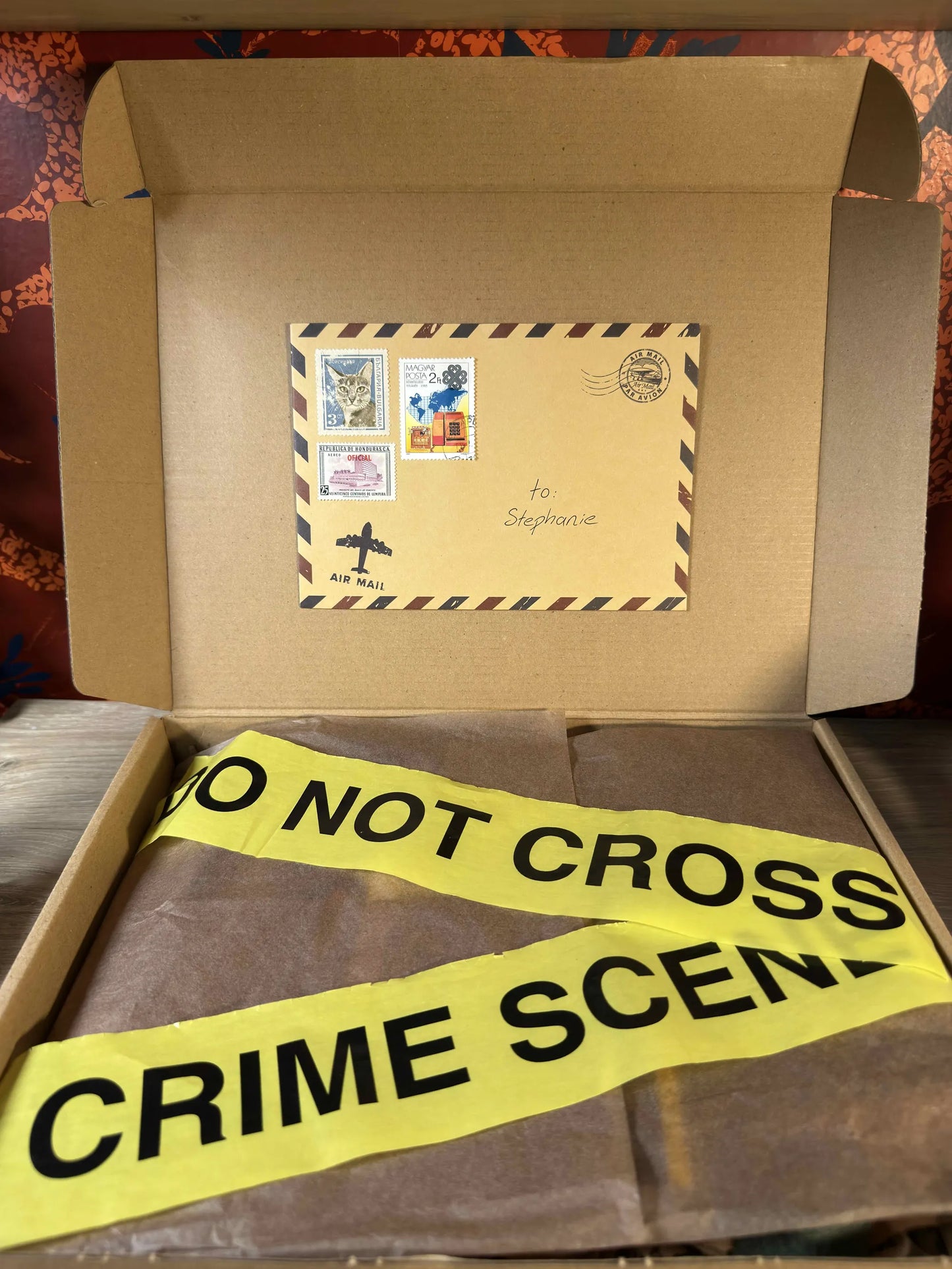 Cozy Mystery Blind Date With a Book Box 🕵️‍♀️